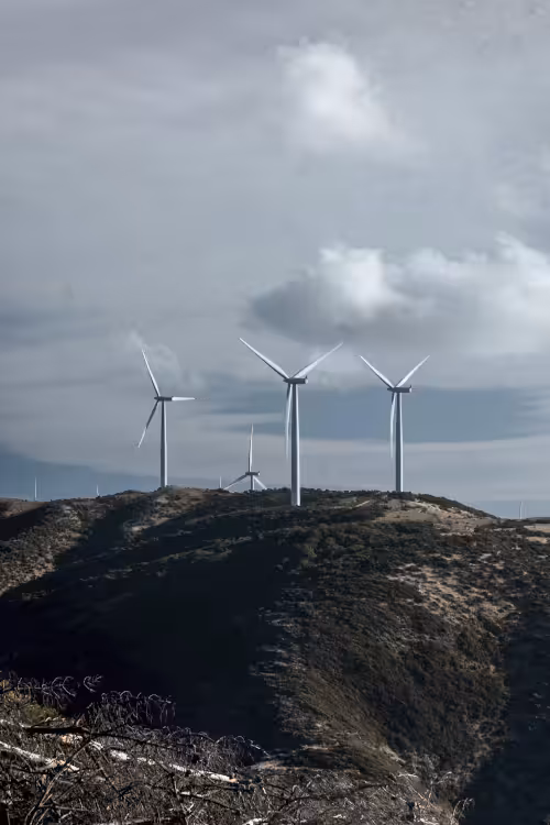 A wind turbine